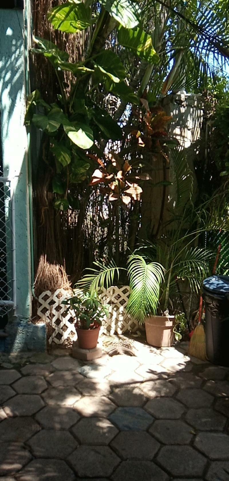 Posada Marpez Cancun Exterior photo